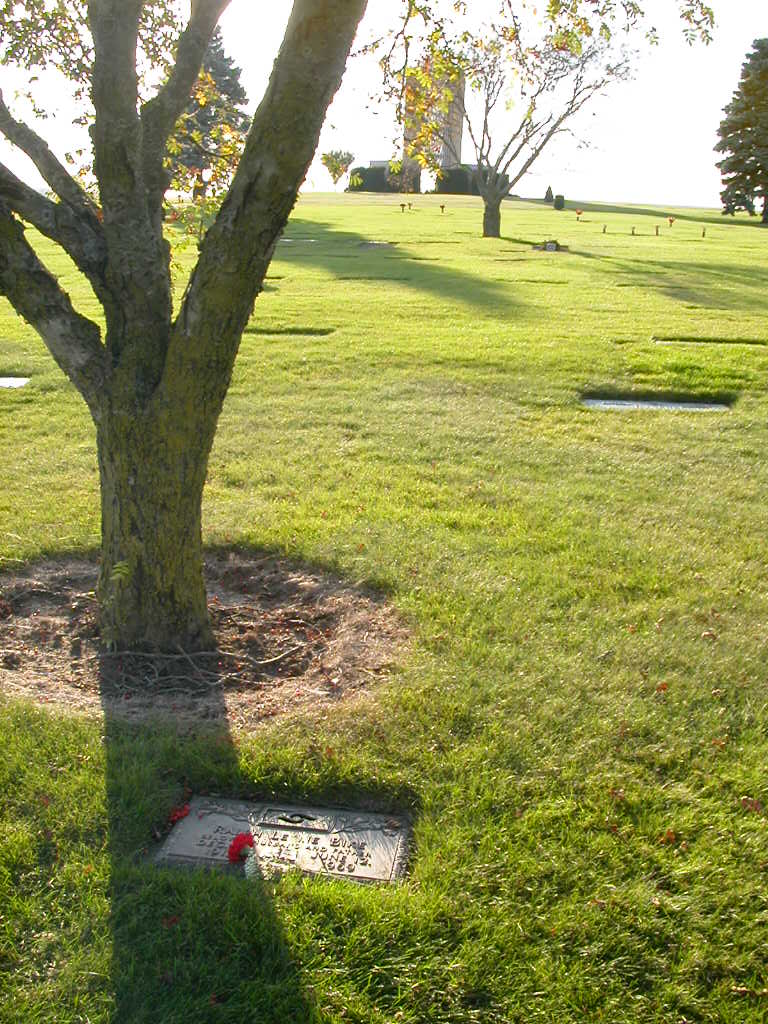 my father's grave