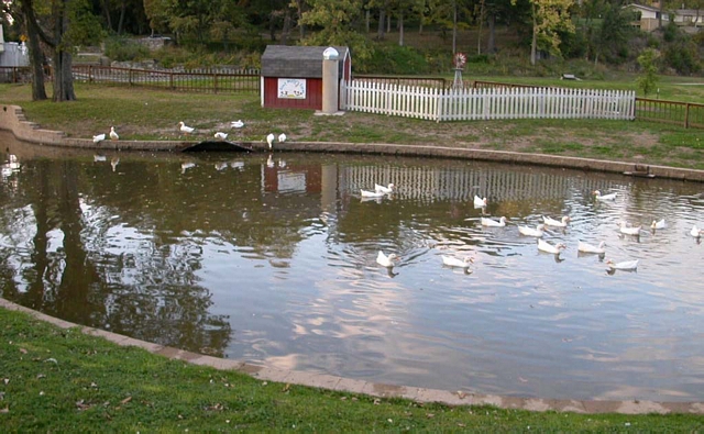 The duck pond at Krape Park.