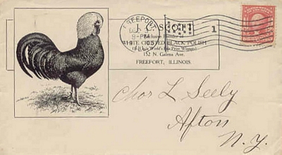 1905 Letter